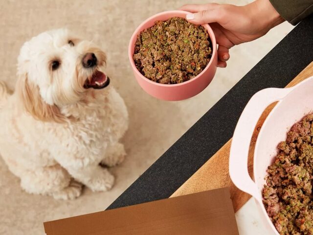 From Store-Bought to Bowl-Licious: A Pet Parent’s Journey to Real Food