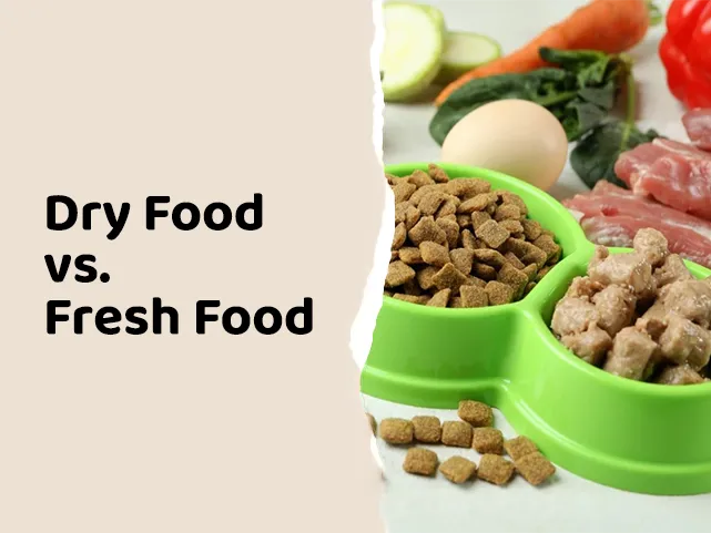 Kibble vs Fresh Dog Food: Which is Better for Your Dog’s Health?