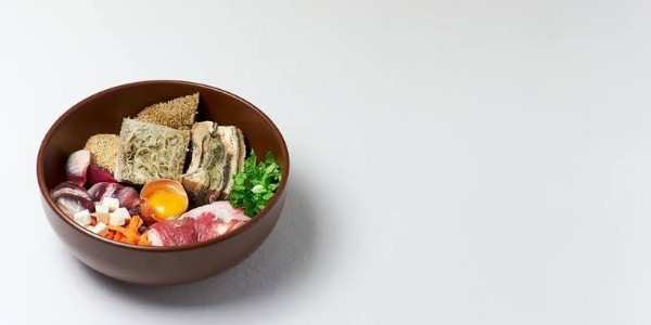 How Fresh Dog Food Can Increase Your Dog’s Lifespan